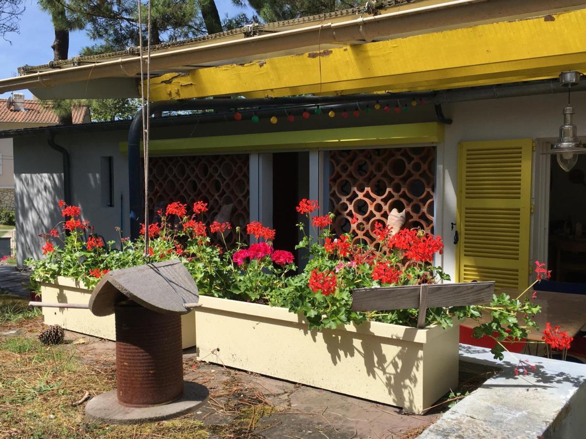 Villa Clair Accueil Saint-Georges-de-Didonne Esterno foto